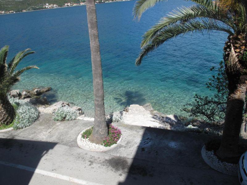 Apartments Jasmina Korčula Szoba fotó